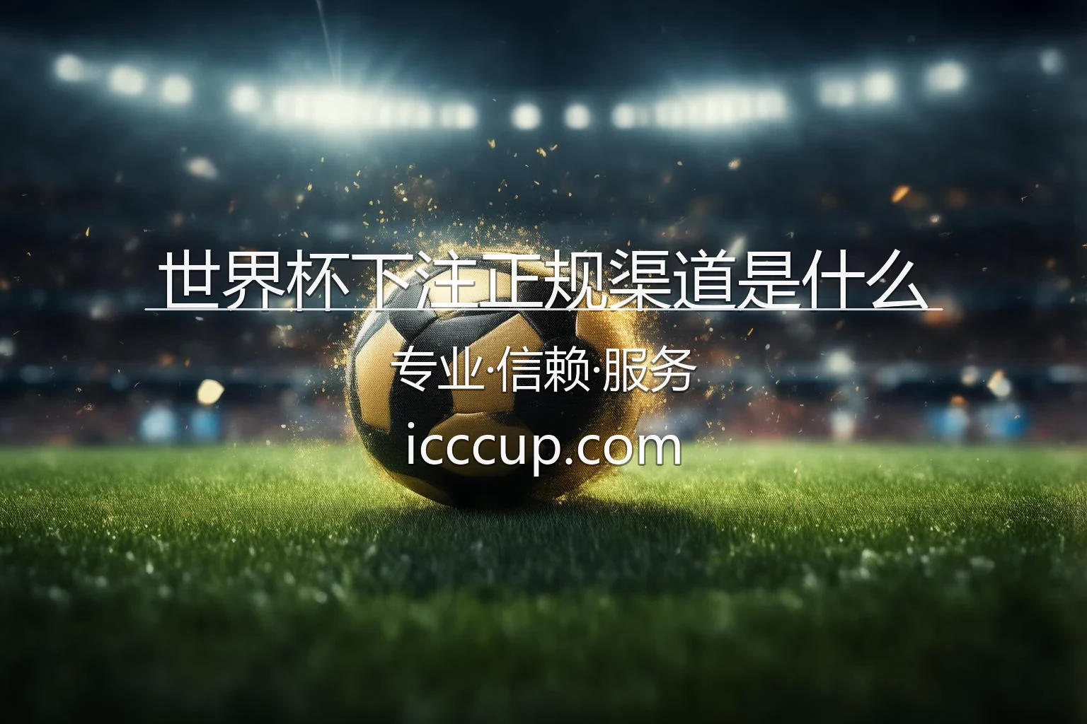 世界杯下注正规渠道是什么官网